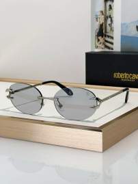 Picture of Roberto Cavalli Sunglasses _SKUfw79280025fw